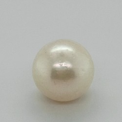 Pearl  (Moti) 5.93 Ct Certified
